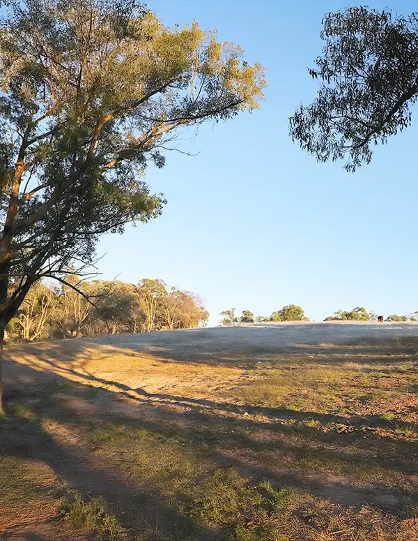 Land & site review with NHC